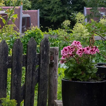 Bed & Breakfast Hotelhuisjes 3*