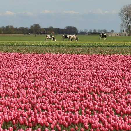 Hotelhuisjes 3*